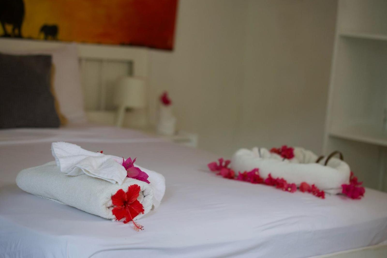 Afreeka Beach Hotel 拉斯特拉纳斯 外观 照片